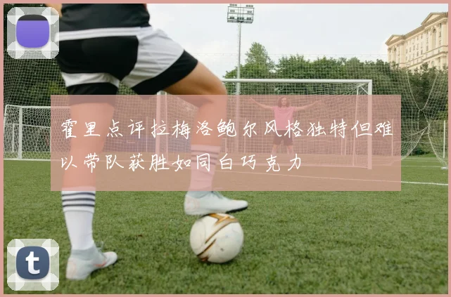 霍里点评拉梅洛鲍尔风格独特但难以带队获胜如同白巧克力