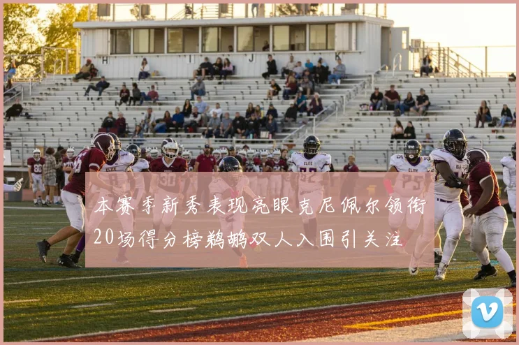 本赛季新秀表现亮眼克尼佩尔领衔20场得分榜鹈鹕双人入围引关注