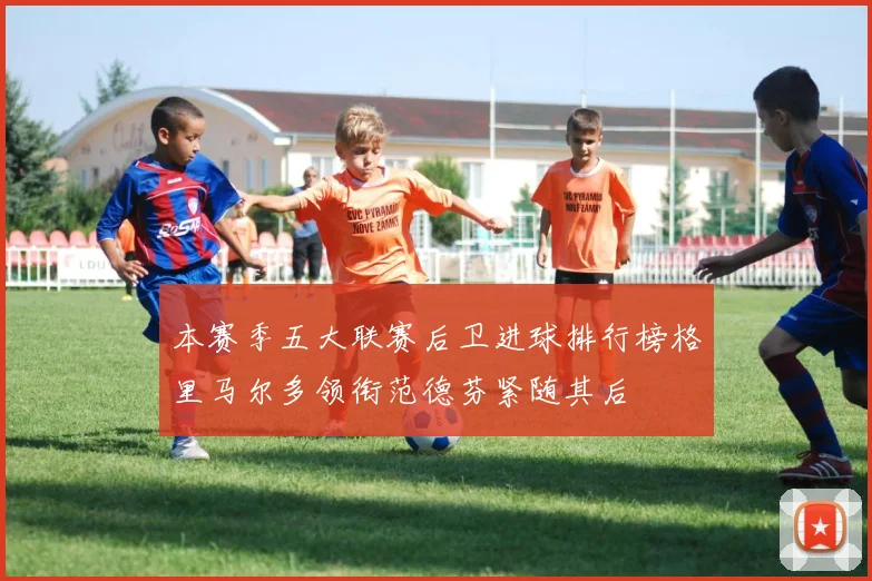 本赛季五大联赛后卫进球排行榜格里马尔多领衔范德芬紧随其后