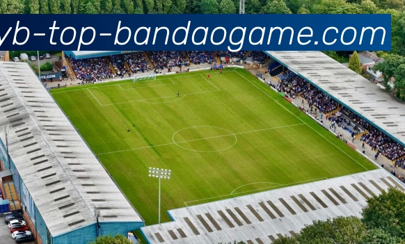 半岛体育平台生态图