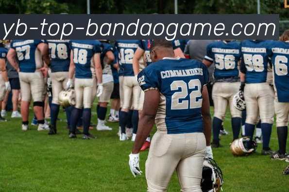 半岛体育全站App